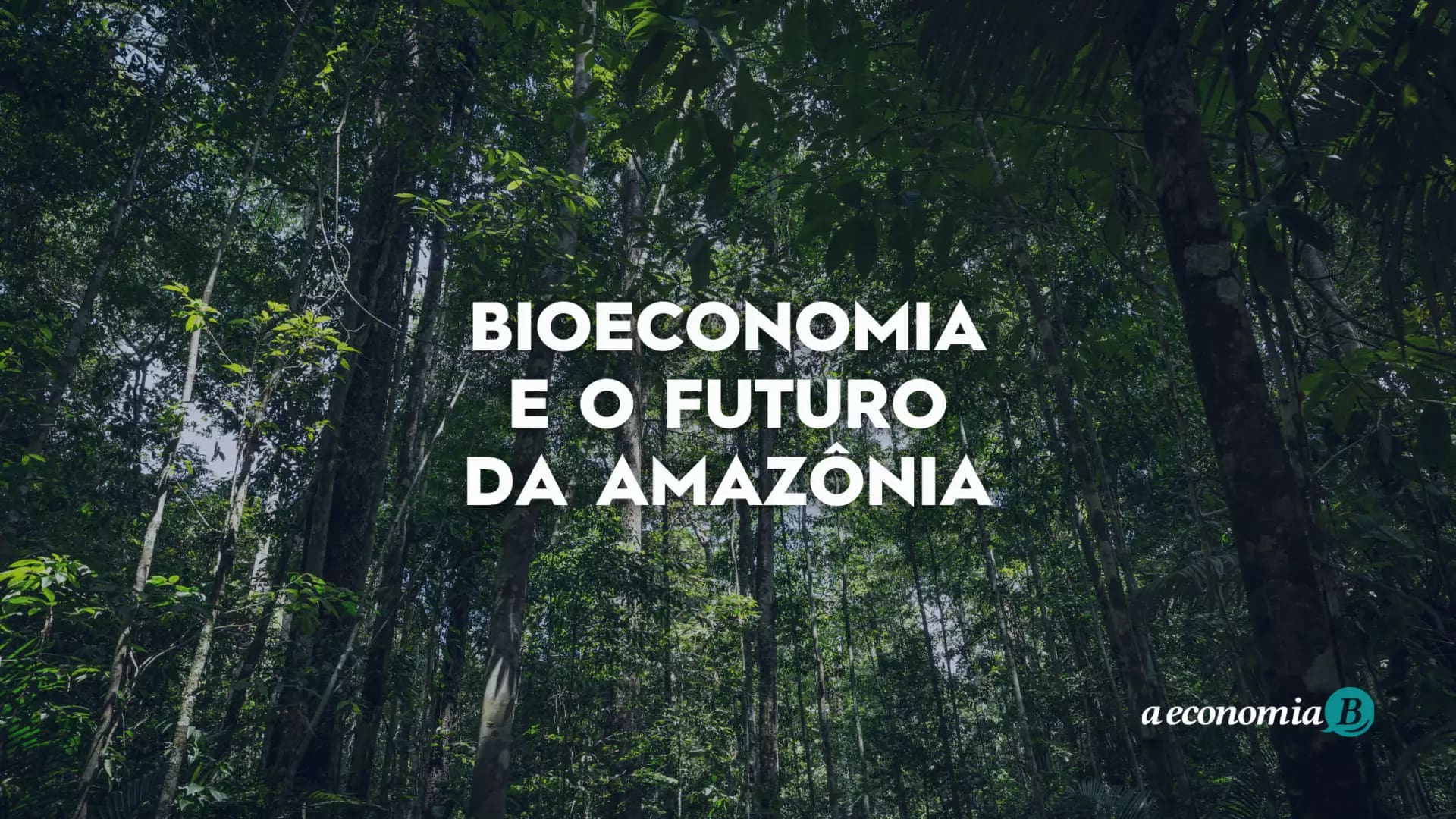 Bioeconomia florestal se mostra como futuro sustentável para