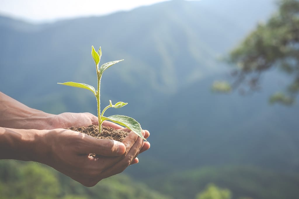 Varejo adota prática ESG para reduzir toneladas de plástico no meio ambiente